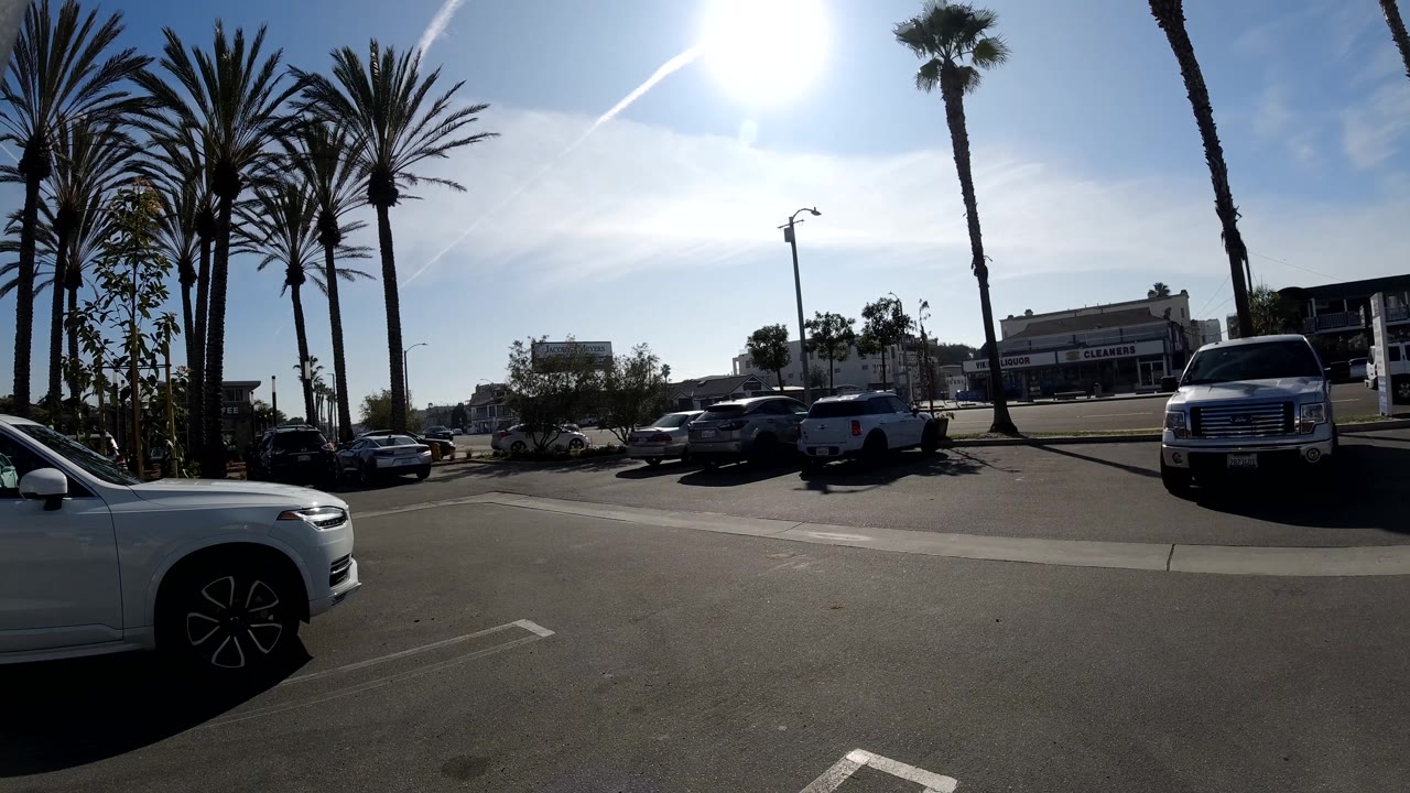 Bright parking lot view with palm trees, cars, and a large pickup facing camera.