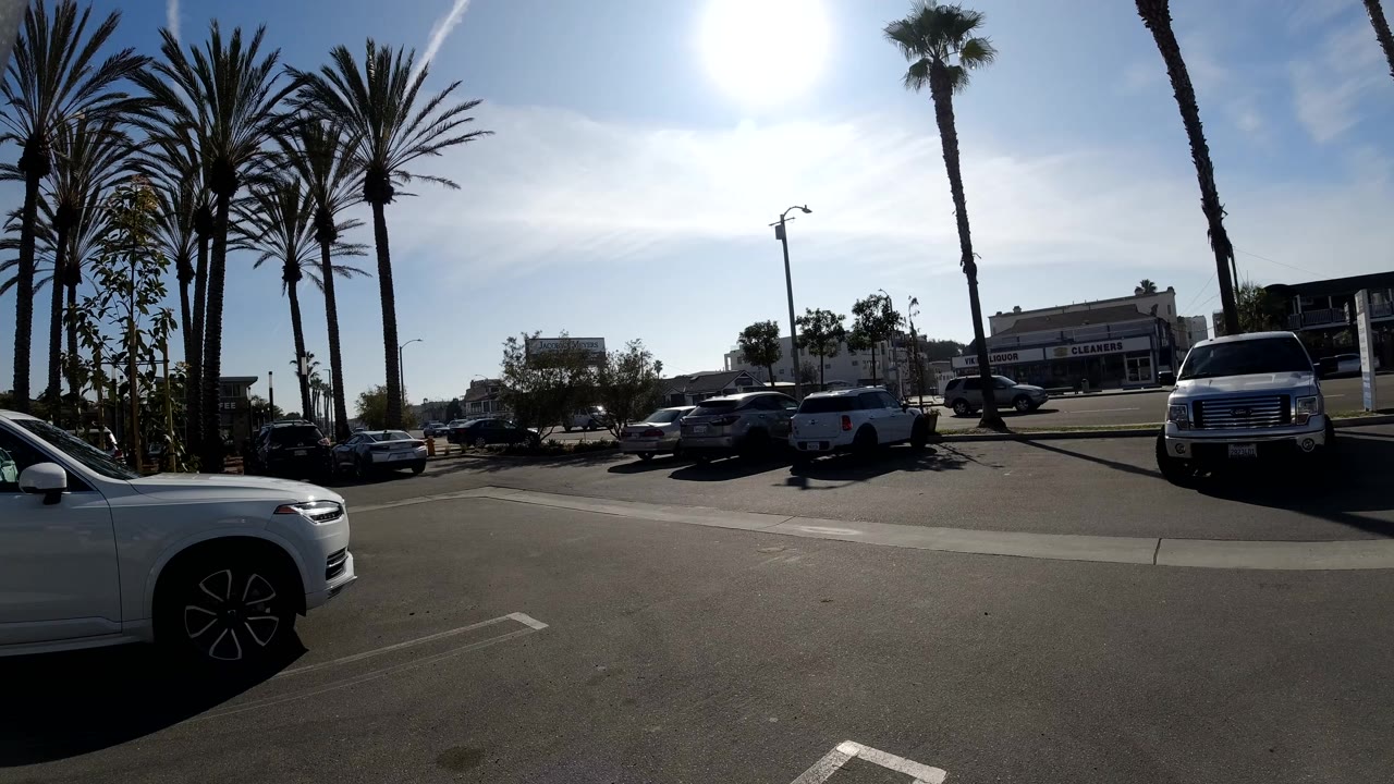 Palm-lined parking area with cars and bright overhead sun.