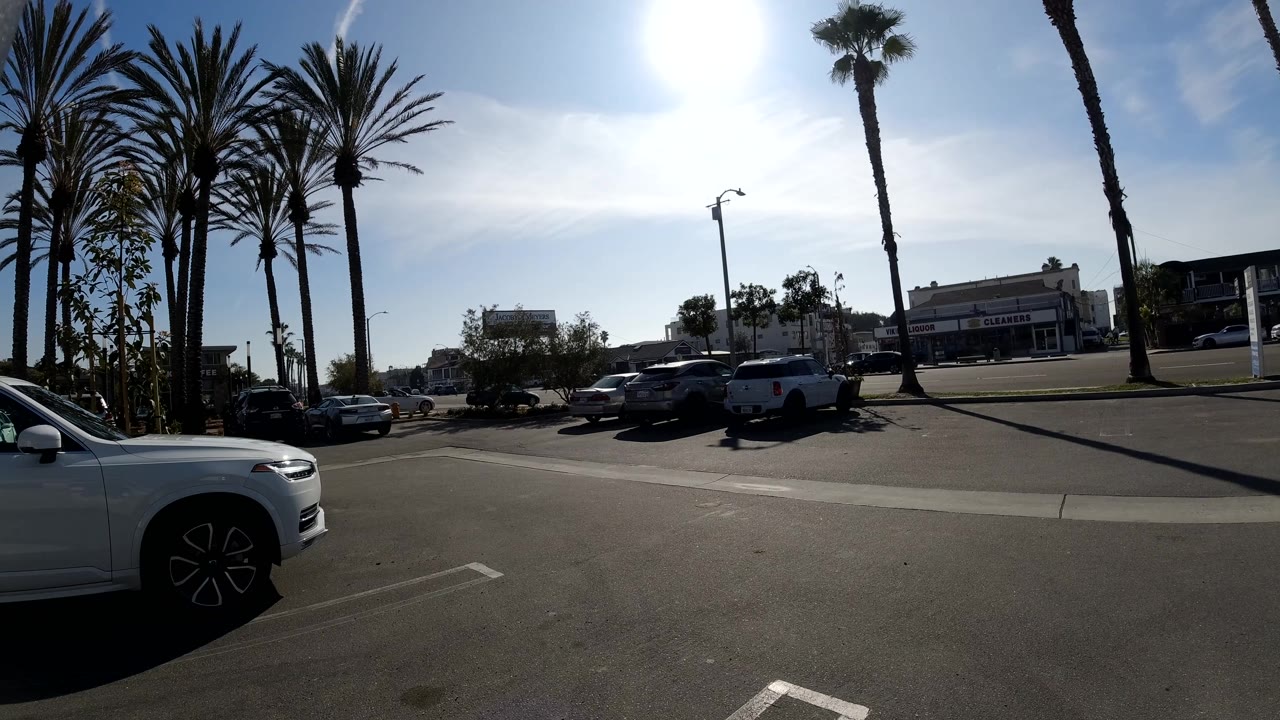 Huntington Beach parking lot view with a white SUV cropped at the right foreground, palm trees rising behind parked cars, distant low buildings, and no visible people.