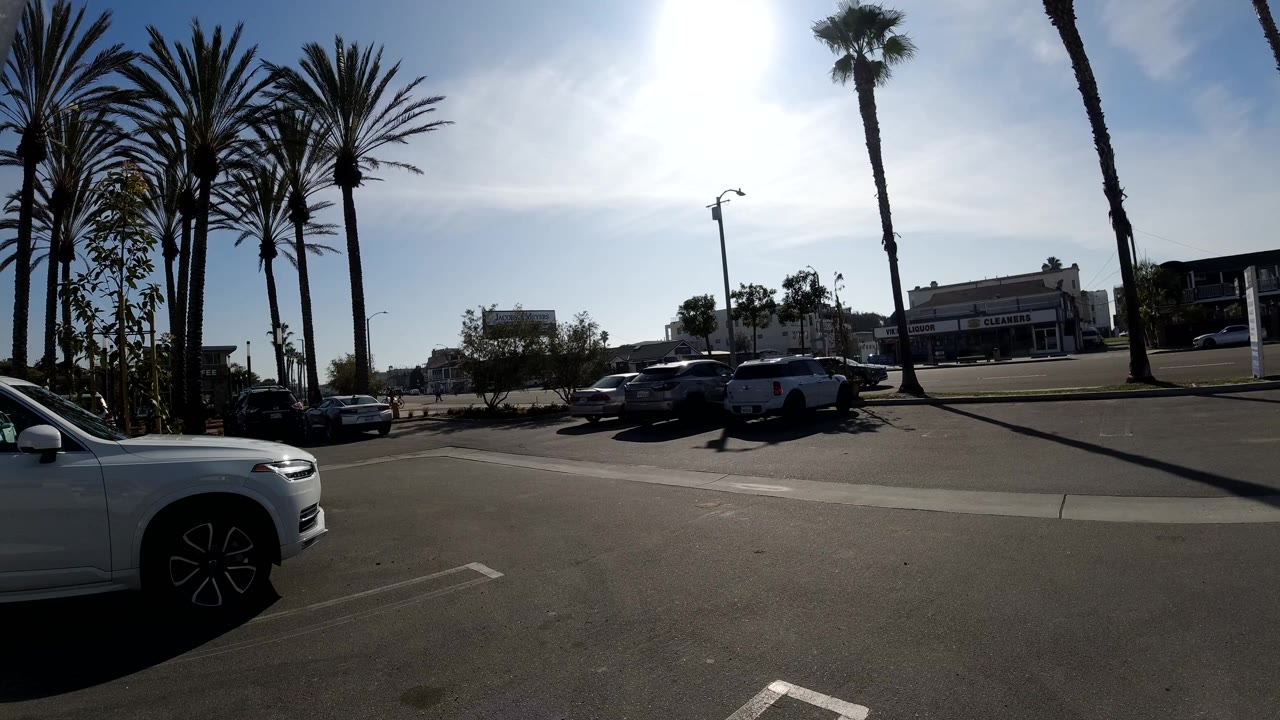 Palm trees and parked cars under strong sun glare