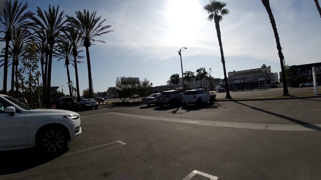 White car foreground with palm shadows across a sunny lot.