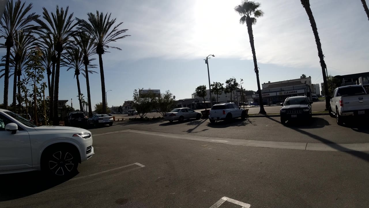 Palm-lined parking lot with white pickup and SUV in daylight