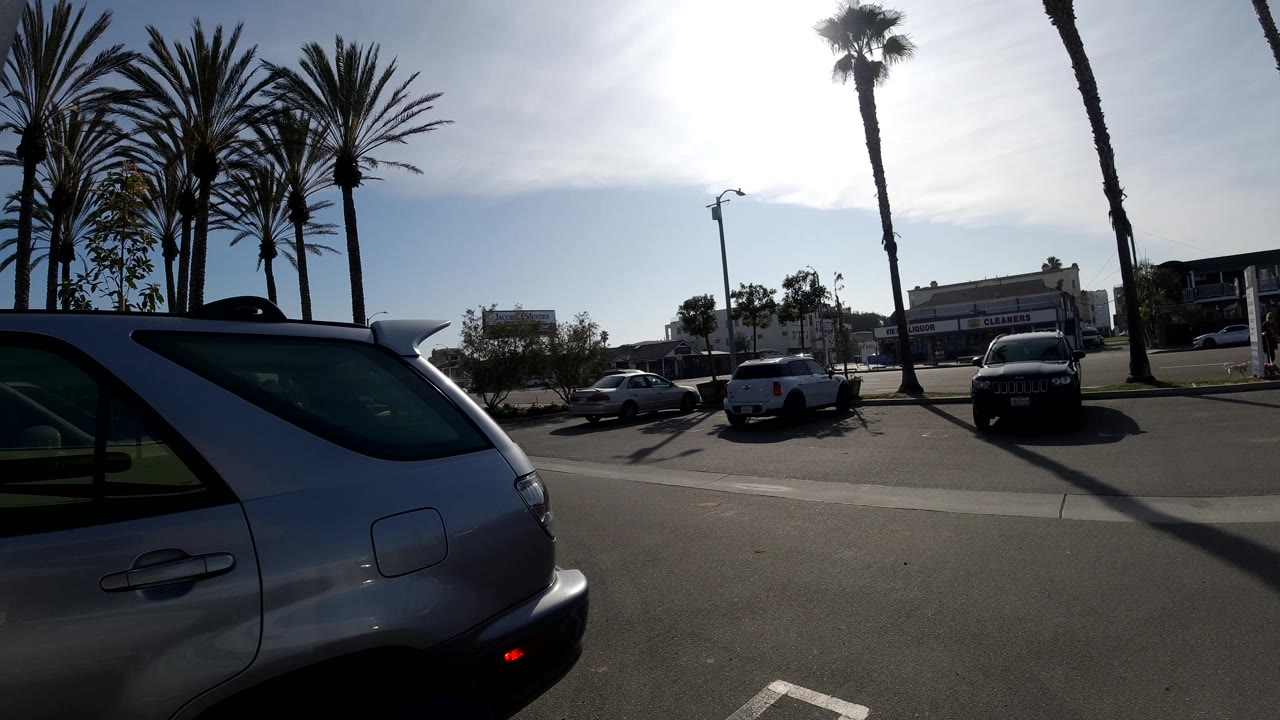Palm trees, parked cars, and a sunlit street beside a cropped SUV.