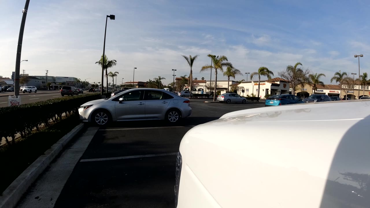 Wide Bolsa Chica parking lot view with a white vehicle roof in the foreground, parked cars, palm trees, storefront buildings, blue sky, and no visible people.