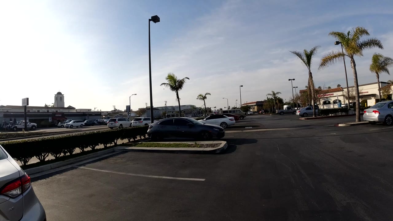 Wide Bolsa Chica roadside view with a car trunk edge in the foreground, parked and moving cars, palm trees, storefronts, street lights, blue sky, and no visible people.