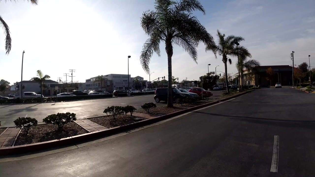 Driveway exit near a road with palm trees, cars, and commercial buildings.