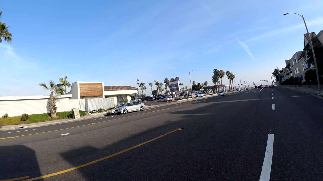 Wide road in Bolsa Chica, California with palm trees, cars, low roadside buildings, blue sky, and no clearly visible faces.