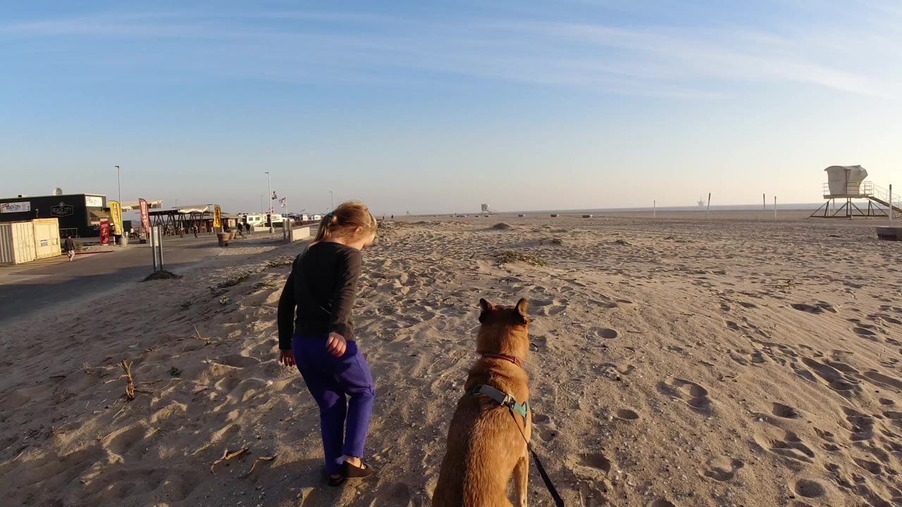 At Bolsa Chica, a young girl walks away across rippled sand with a brown dog in the foreground and a lifeguard tower far to the right.