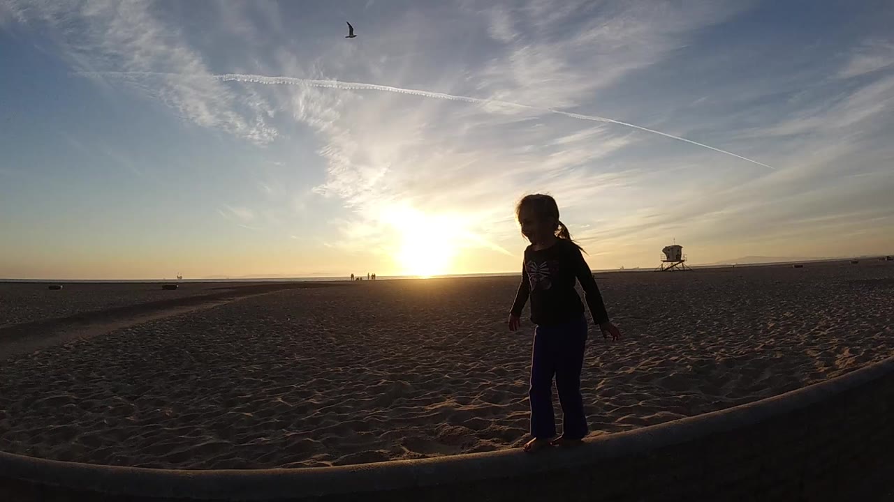 A silhouetted young girl stands on the sand at Bolsa Chica, California as the sun nears the horizon and a gull appears high in the sky.