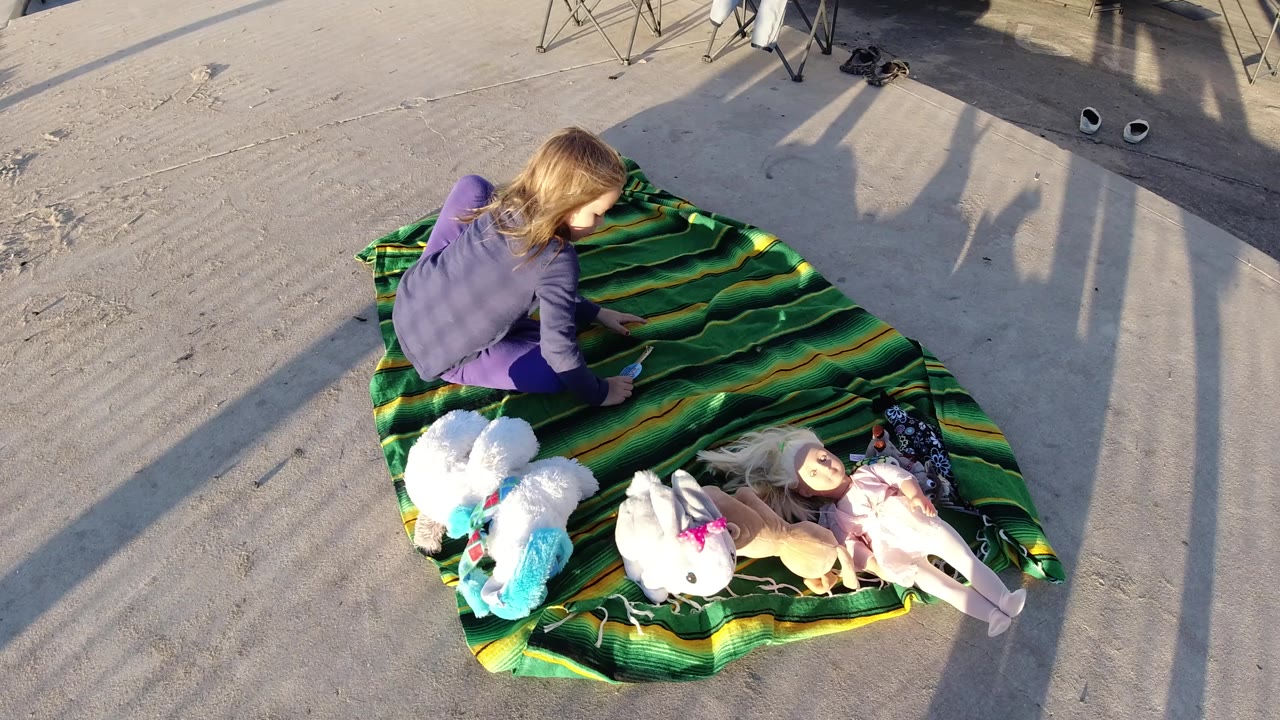 Girl on a beach blanket with plush toys spread in front of her.