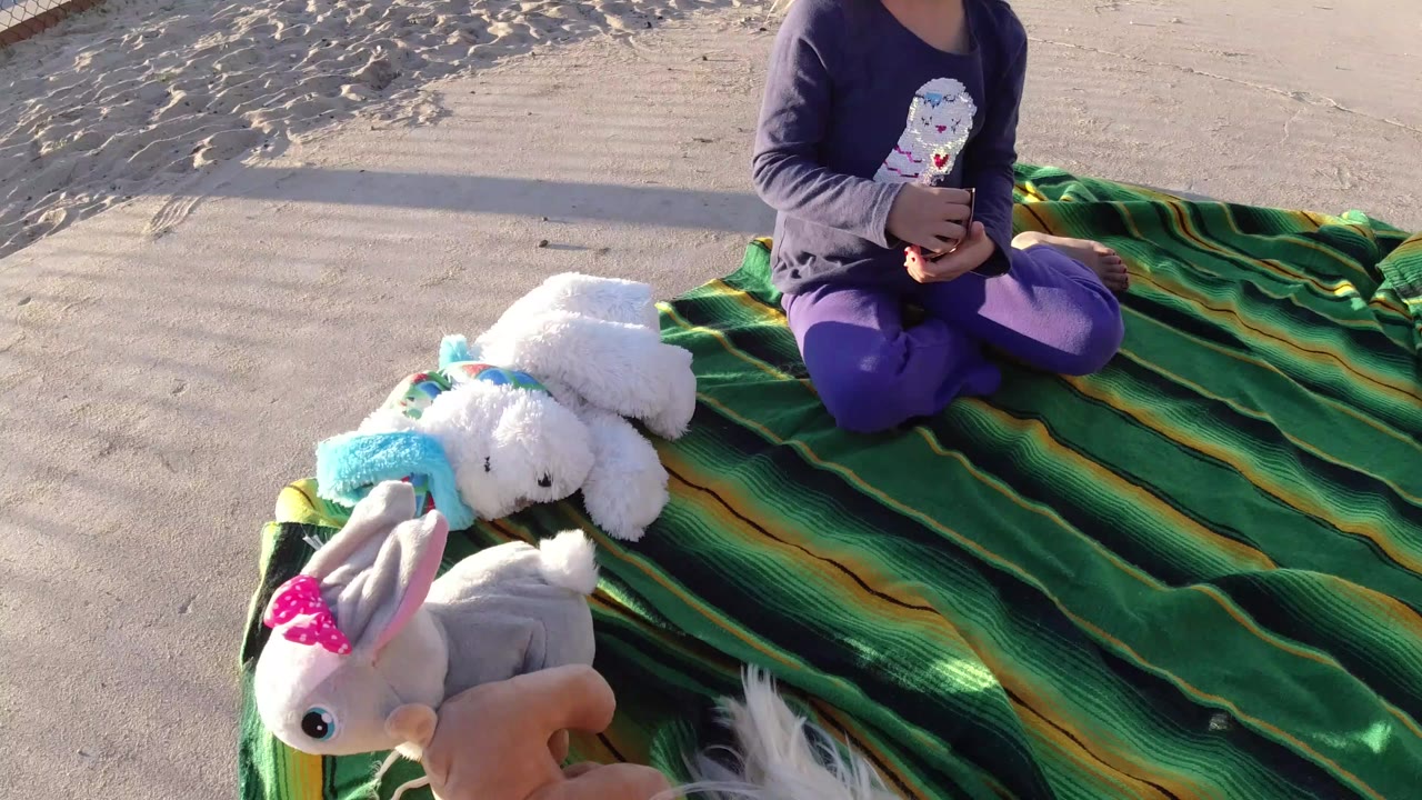 At Bolsa Chica, California, a child in purple clothing sits cross-legged on a green striped blanket while plush animals lie in the foreground on sand.