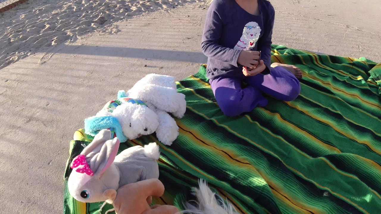 At Bolsa Chica, California, the child remains seated near the top of the green striped blanket as a white plush dog and other stuffed toys fill the lower edge of the frame.