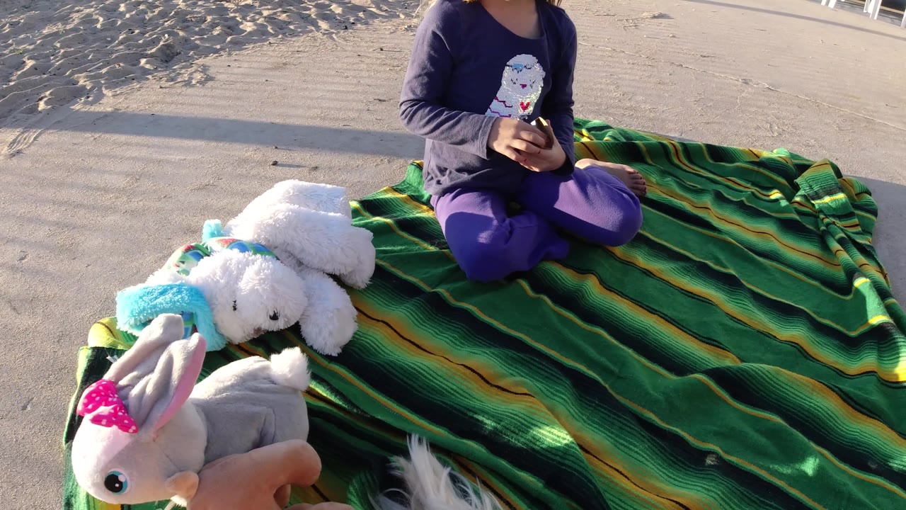At Bolsa Chica, California, the child holds a small object while seated on the green striped blanket, with plush toys clustered in the lower left foreground.
