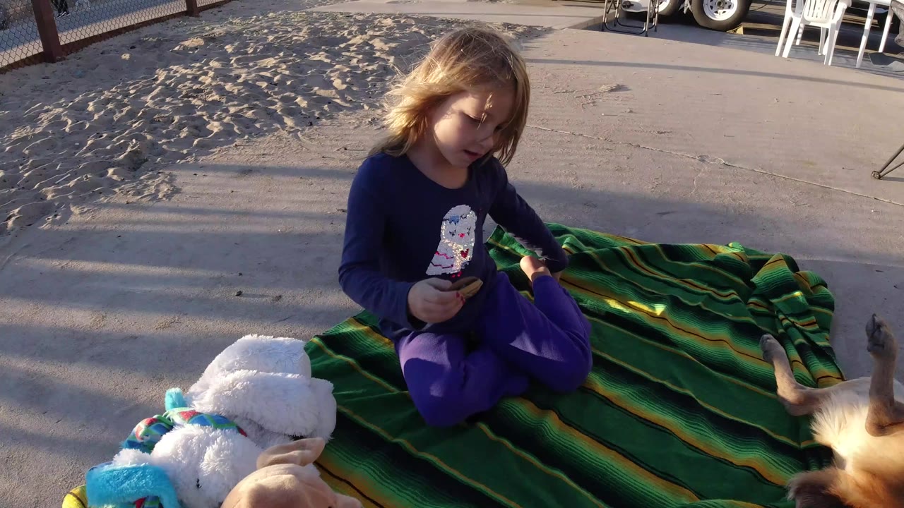 Child on blanket with dolls and stuffed animals in low sunlight.