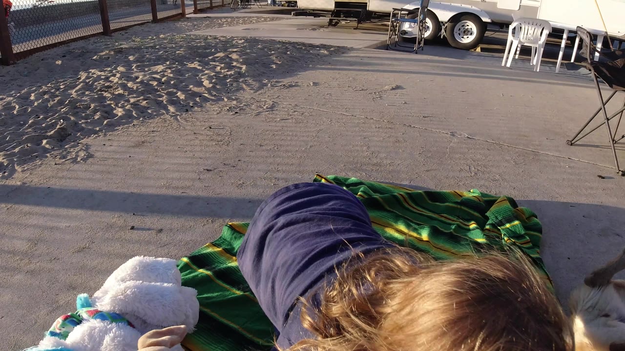 A young child leans down on the blanket in Bolsa Chica, California, while stuffed toys sit nearby and a small tan dog is partly visible at the right edge.
