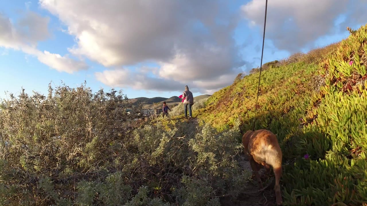 A woman and child walk along a plant-lined path in Pismo Beach, California, while a tan dog stands close to the camera and water, hills, and clouds fill the background.