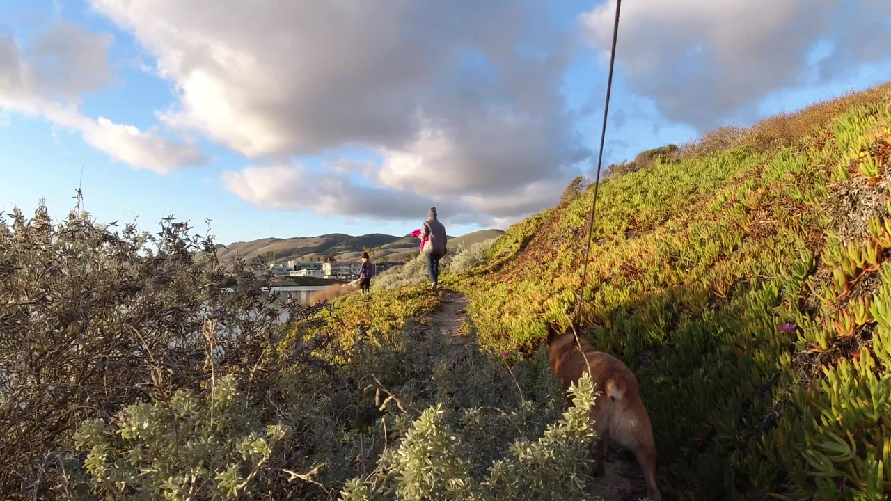 A wider view shows the woman and child farther along the Pismo Beach path, the dog at the right edge, green slope at right, and calm water with distant buildings and hills at left.