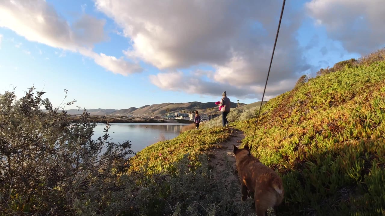 Woman and child walking above still water with a dog on the path.