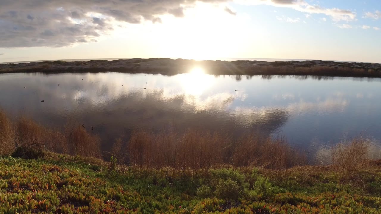 At Pismo Beach, California, the low sun reflects across still lake water below dark clouds, with brown reeds and green vegetation in the foreground and no visible people.
