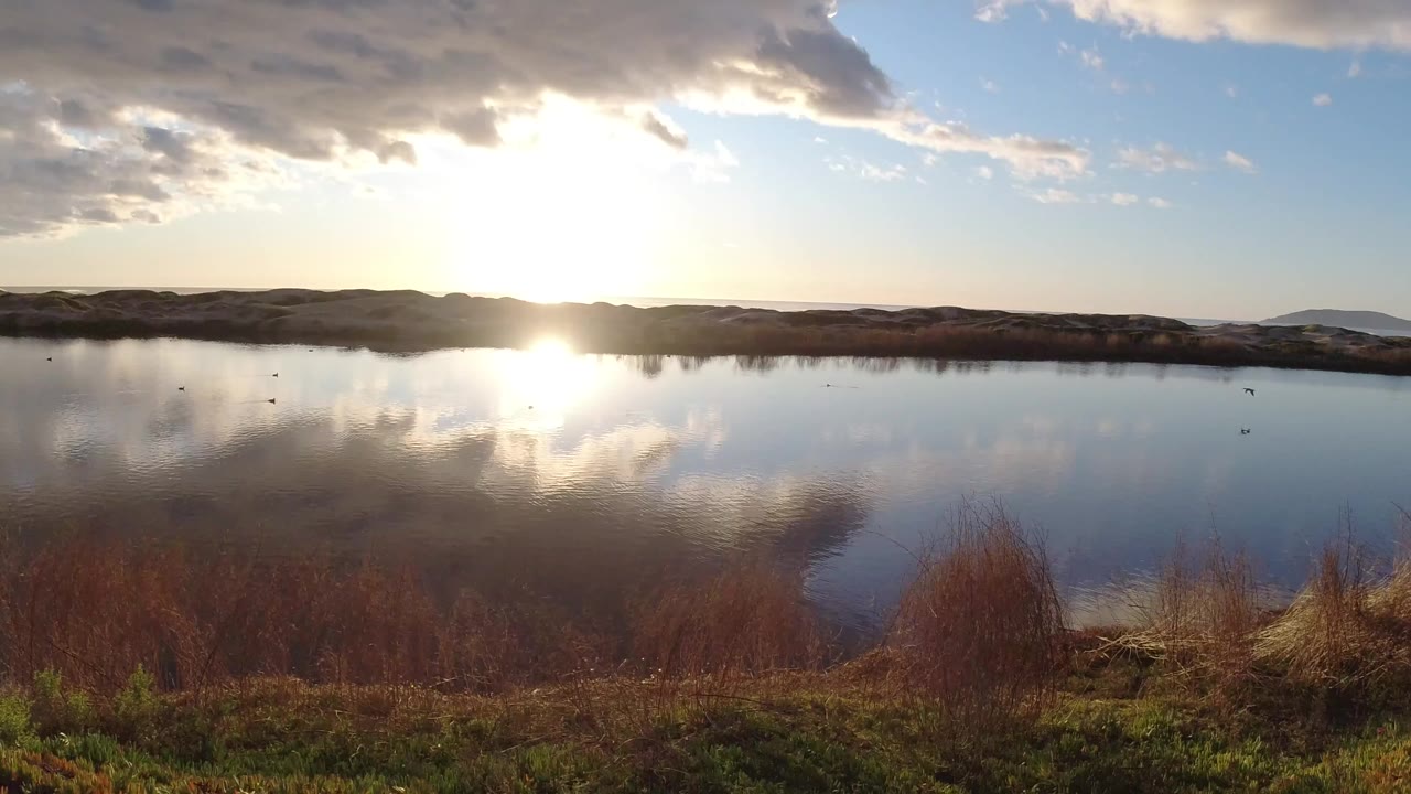 Sunset over a still lake with grasses on the bank