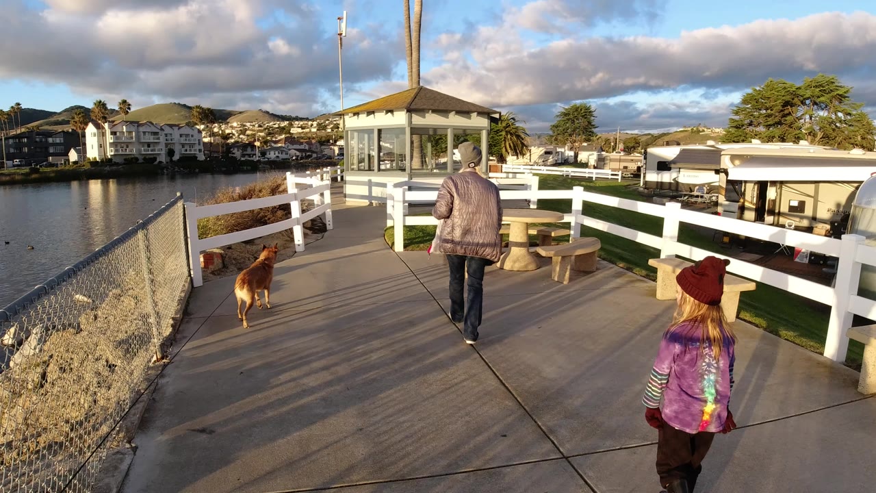 Child follows a woman and dog on a waterfront path.