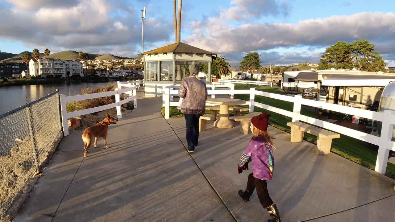 A woman and child continue along the Pismo Beach boardwalk as the brown dog walks near the fence, with picnic tables, white rails, water, houses, hills, and dramatic clouds visible.