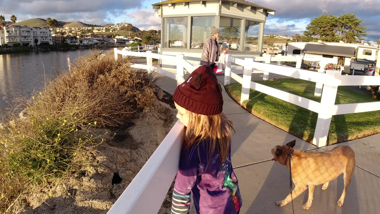 One second in, the girl faces away beside the white fence as the tan dog stands to her right, with Pismo Beach water, rocky shoreline, shrubs, and houses behind them.