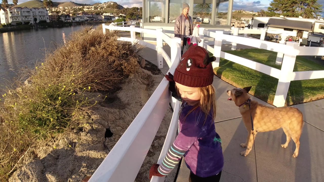 The girl is closer to the right edge near the white railing, the dog stands in profile on the walkway, and the rocky waterfront and residential buildings remain visible in Pismo Beach.