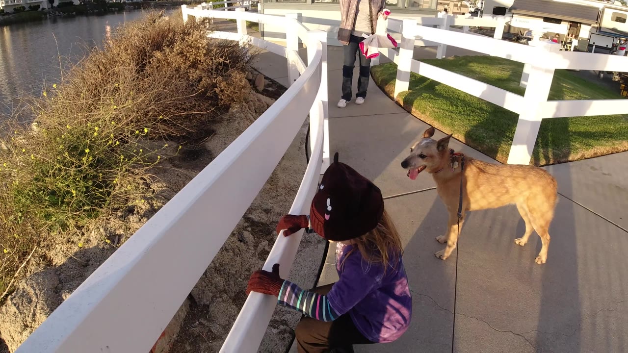 Child crouches by a white fence while a dog stands nearby.
