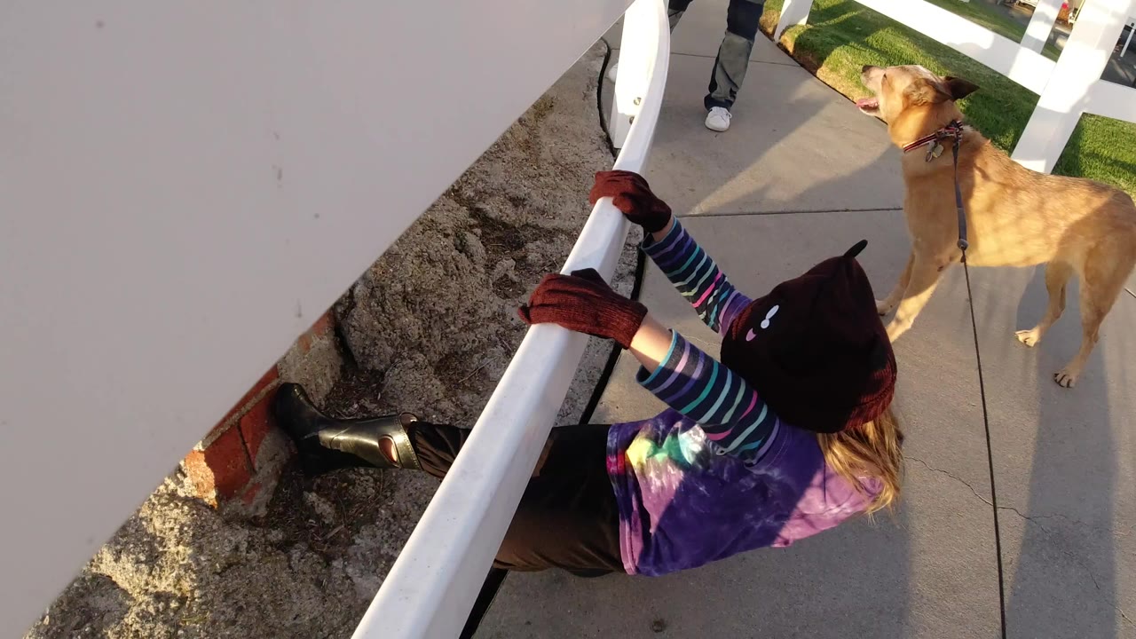 At Pismo Beach, a child in a dark knit hat and gloves grips a white railing while a tan dog stands on the walkway nearby.