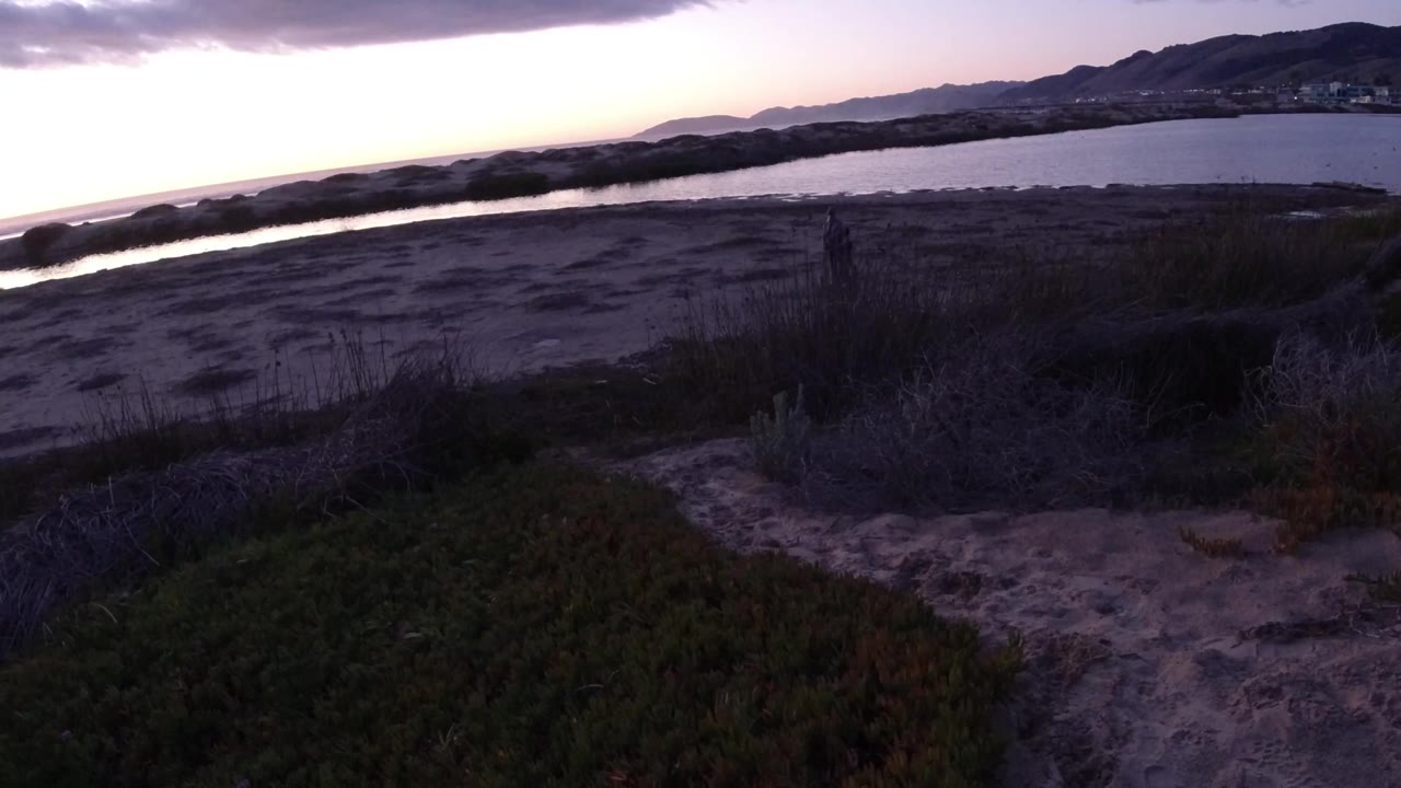 Elevated sunset view over Pismo Beach with dark foreground vegetation, open sand, reflective water, distant hills, purple clouds, and no clearly visible people.