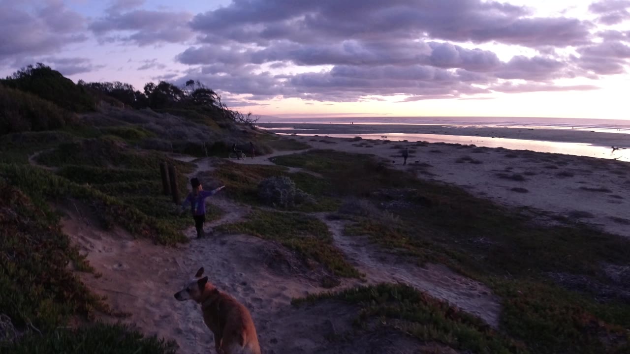 Brown dog near the bottom of frame while a child stands on the dune path.