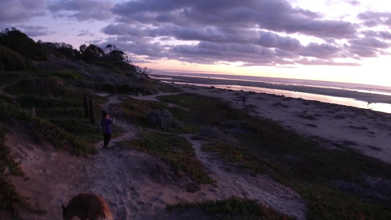 A child stands farther along the winding Pismo Beach dune path while the dog is partly low in frame and the ocean reflects the fading sunset light.