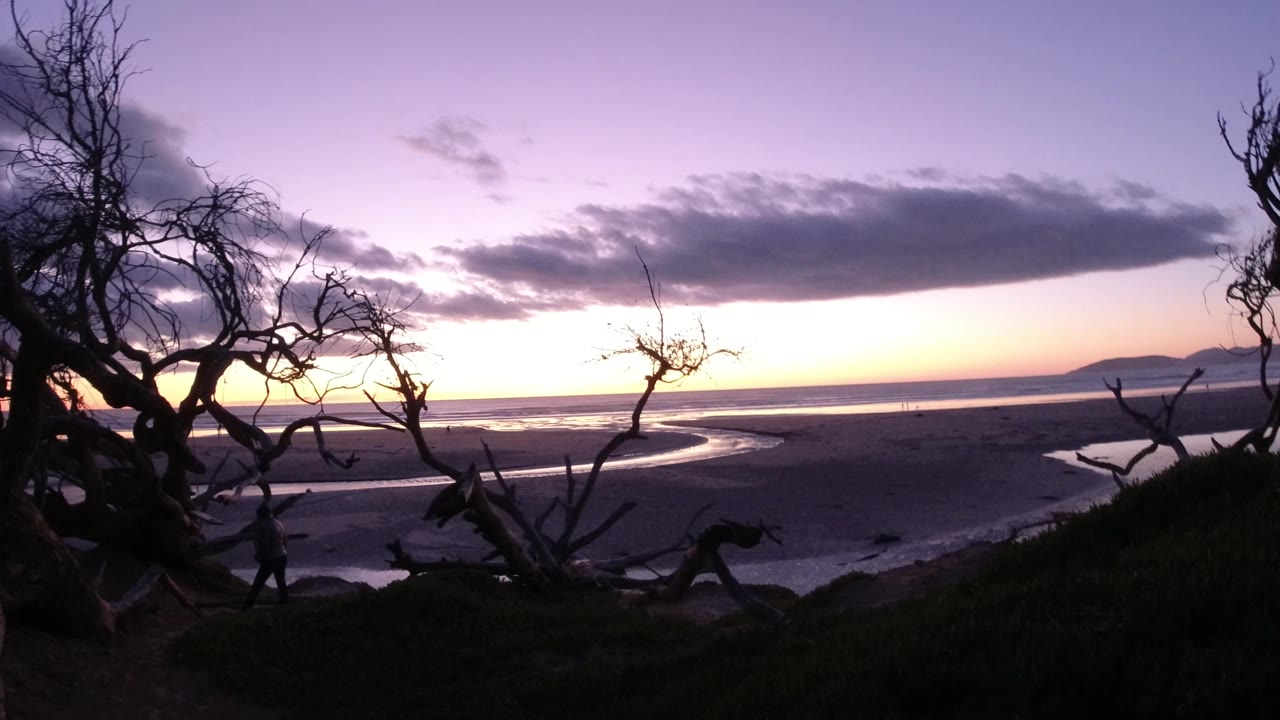 Pismo Beach shoreline seen through bare branches, with a brighter glow along the horizon, dark wet sand, a curving water channel, distant hills, and no visible people.