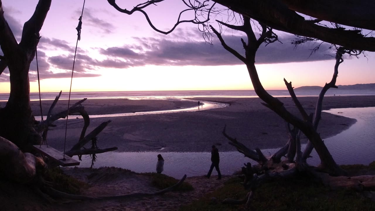 Pismo Beach at dusk seen through dark tree trunks and branches, with a rope swing at left, exposed tide flats beyond, and two silhouetted people near the lower foreground.