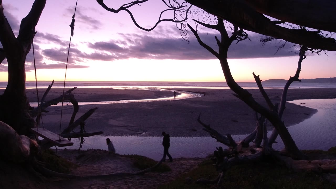 A silhouetted person walks along the lower edge beneath tree branches overlooking the beach.