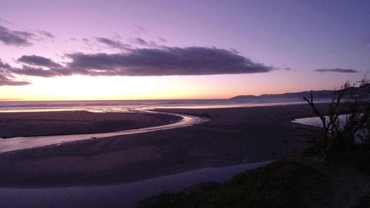 Pismo Beach, California, at dusk with reflective wet sand, a winding water channel, low ocean surf, distant hills, a dark tree silhouette on the right edge, and no visible people.