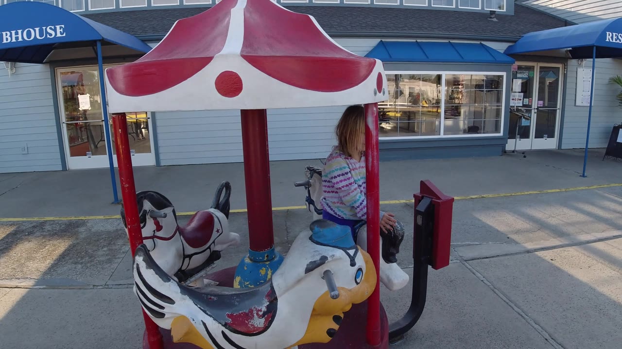 Carousel horses rotate past storefront windows.