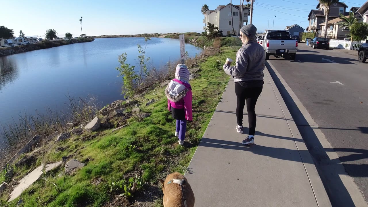 In Pismo Beach, the child walks near the uneven grassy edge while the woman stays on the sidewalk, with still water to the left and houses and cars to the right.