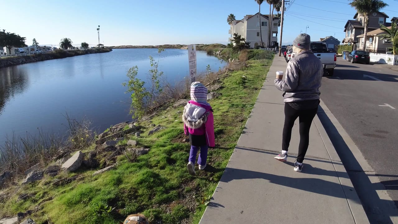 Woman and child approach a posted health advisory sign beside the water.