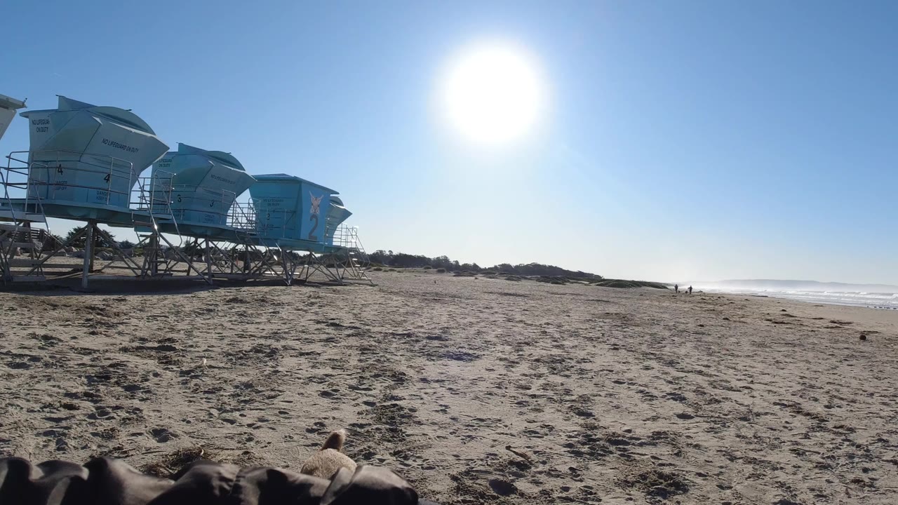 At Pismo Beach, dog ears appear at the bottom edge while pale blue lifeguard towers line the left side, the ocean sits in the distance, and no recognizable people are visible.