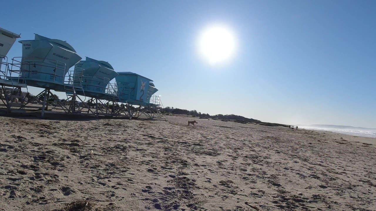 Pismo Beach view with the dog still distant on the sand, blue raised structures filling the left side, bright glare in the sky, and no visible people.