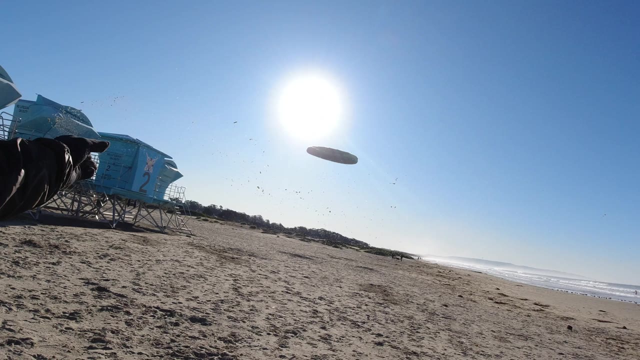 At Pismo Beach, a partial person at the left edge throws a frisbee across bright sand near blue lifeguard towers while the ocean sits in the distance.