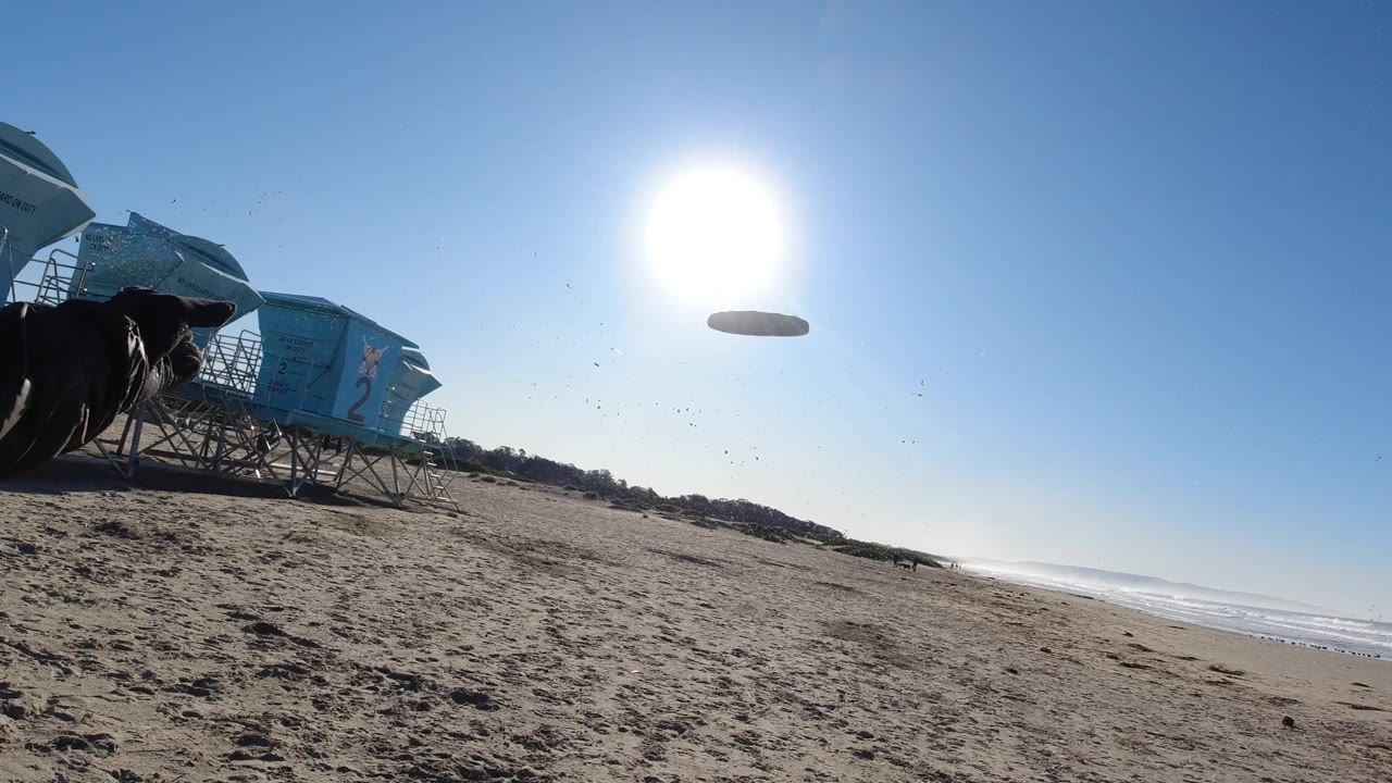 At Pismo Beach, the frisbee crosses the sky near the bright sun while a dog runs on the sand and blue lifeguard towers remain along the left side.