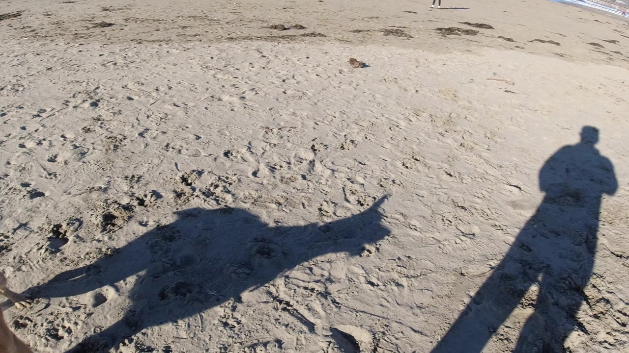 Long shadows stretch across the sand at Pismo Beach, California, with shoreline buildings, palms, lifeguard towers, low hills, surf, and no visible people.