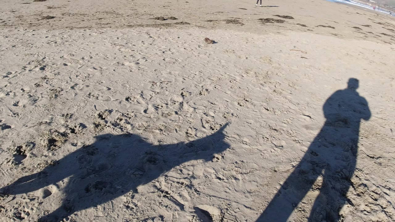 The frame looks across open sand at Pismo Beach, California toward pale lifeguard towers, beachfront structures, palm trees, distant hills, and no visible people.