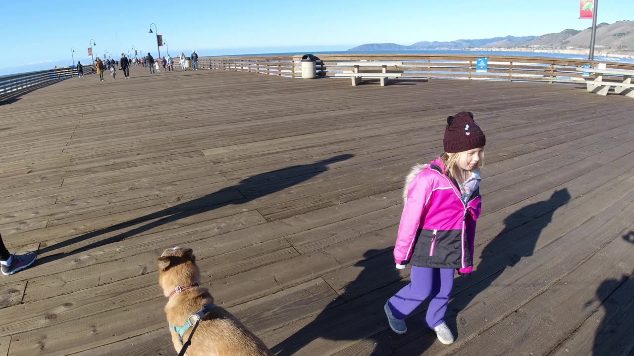 Child, adult, and dog on a wooden pier with pedestrians in the distance.