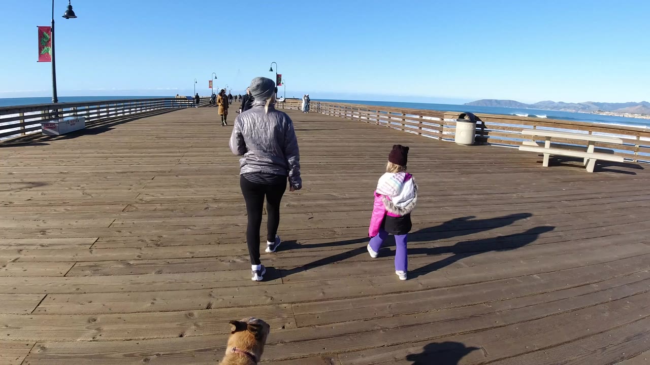 One second in, the woman and child are farther along the Pismo Beach pier, the dog remains low in the foreground, and the bright sun throws their shadows across the wooden planks toward the right.