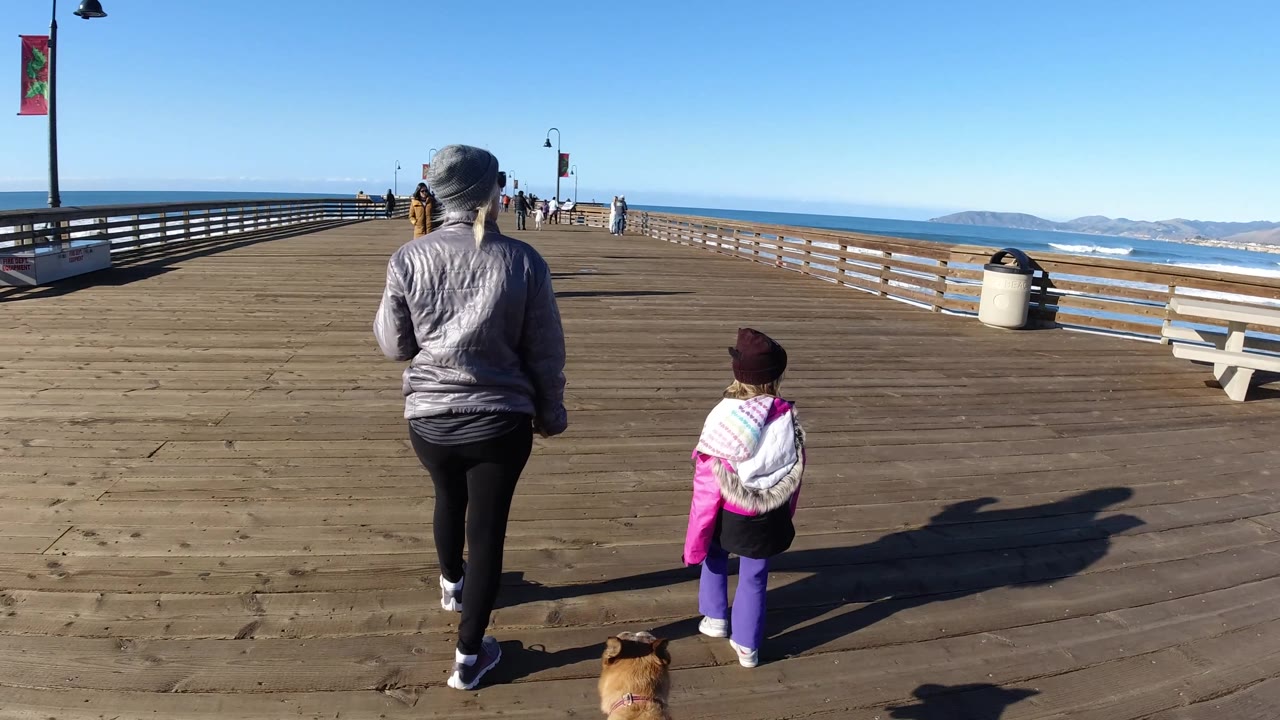 Closer rear view of woman, child, and dog on a wide wooden pier.