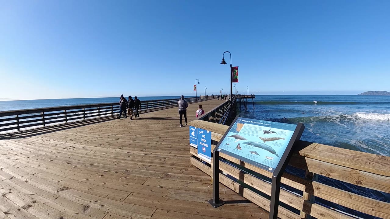 Pismo Beach pier frame with the ocean horizon spanning the background, a small wave forming near the pier, a foreground illustrated sign, and distant people clustered along the walkway.